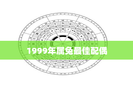 1999年属兔最佳配偶