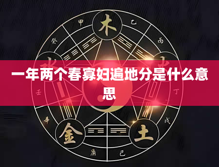 一年两个春寡妇遍地分是什么意思