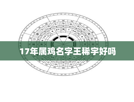 17年属鸡名字王稀宇好吗