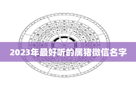 2023年最好听的属猪微信名字
