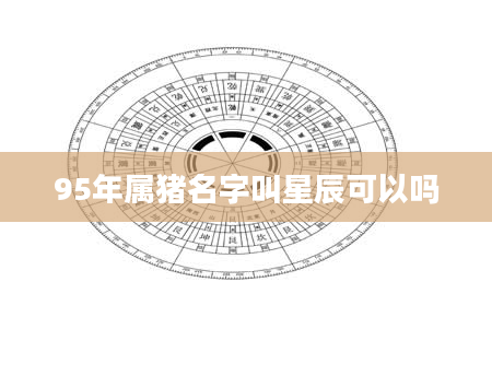 95年属猪名字叫星辰可以吗