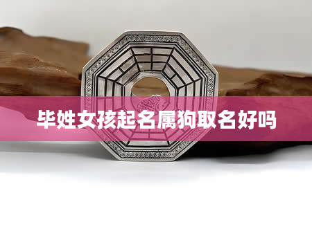 毕姓女孩起名属狗取名好吗