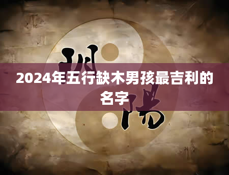 2024年五行缺木男孩最吉利的名字