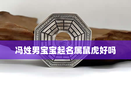 冯姓男宝宝起名属鼠虎好吗