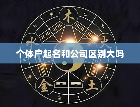 个体户起名和公司区别大吗