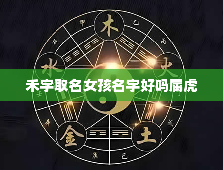 禾字取名女孩名字好吗属虎