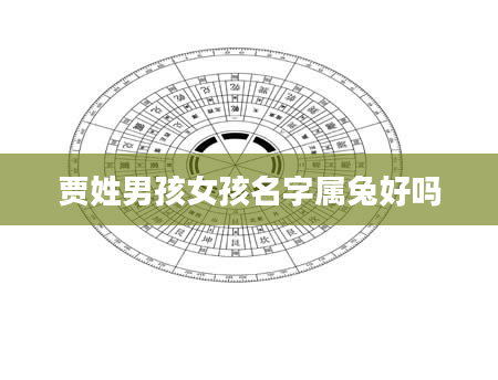 贾姓男孩女孩名字属兔好吗
