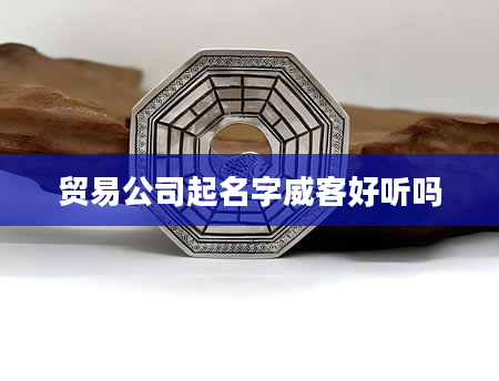 贸易公司起名字威客好听吗