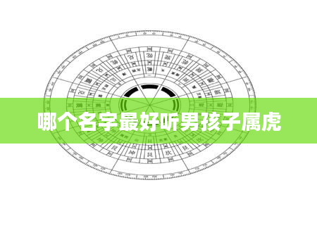 哪个名字最好听男孩子属虎