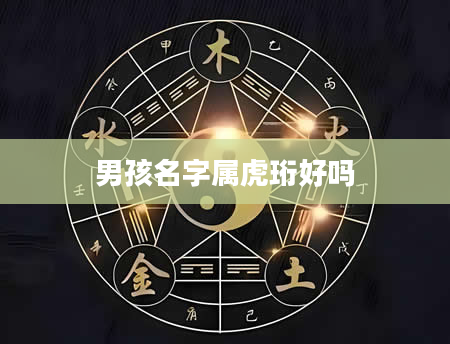 男孩名字属虎珩好吗