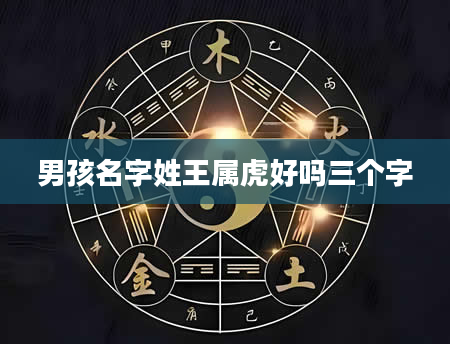男孩名字姓王属虎好吗三个字
