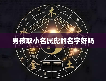男孩取小名属虎的名字好吗