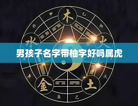 男孩子名字带柚字好吗属虎