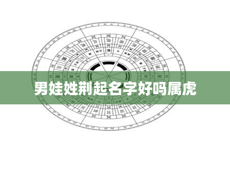 男娃姓荆起名字好吗属虎