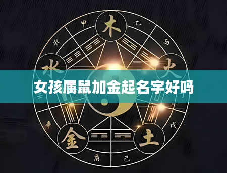 女孩属鼠加金起名字好吗
