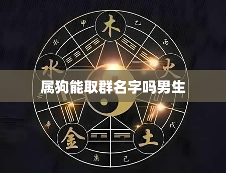 属狗能取群名字吗男生