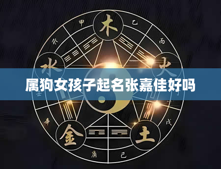 属狗女孩子起名张嘉佳好吗