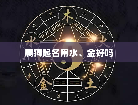 属狗起名用水、金好吗