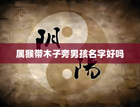 属猴带木子旁男孩名字好吗