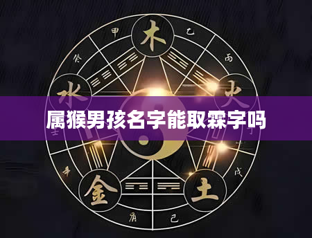 属猴男孩名字能取霖字吗