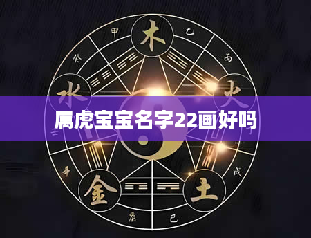 属虎宝宝名字22画好吗