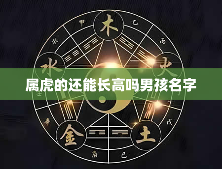 属虎的还能长高吗男孩名字