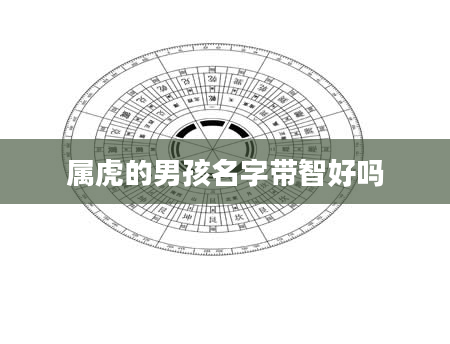 属虎的男孩名字带智好吗