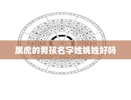 属虎的男孩名字姓姚姓好吗