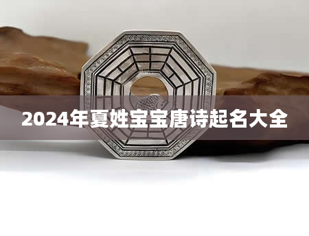 2024年夏姓宝宝唐诗起名大全