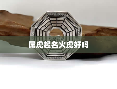 属虎起名火虎好吗