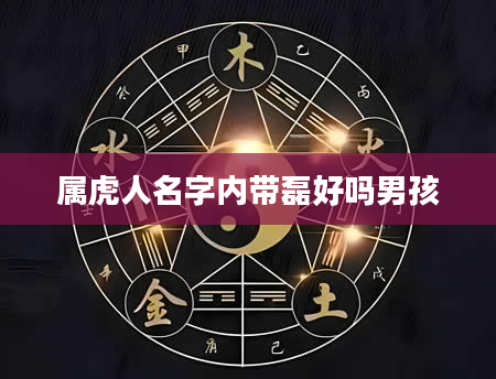 属虎人名字内带磊好吗男孩