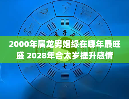 2000年属龙男姻缘在哪年最旺盛 2028年合太岁提升感情