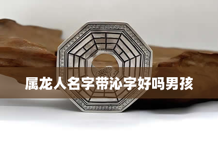 属龙人名字带沁字好吗男孩