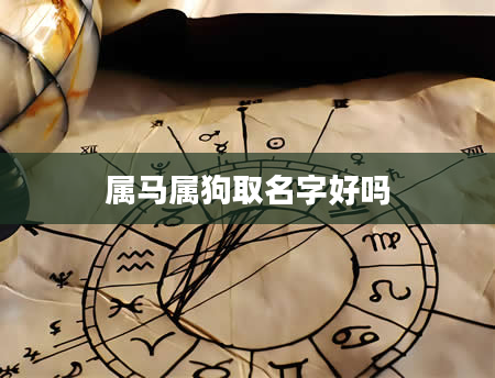 属马属狗取名字好吗