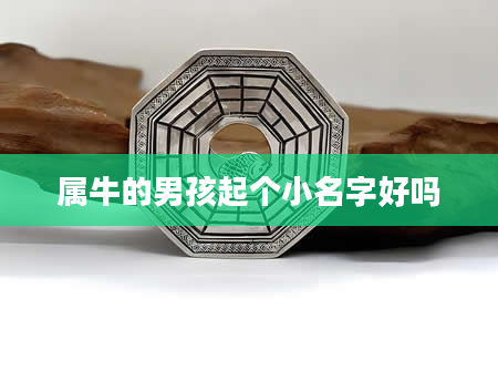 属牛的男孩起个小名字好吗