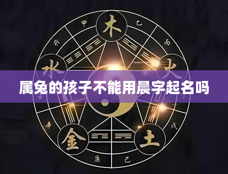属兔的孩子不能用晨字起名吗