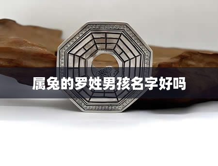 属兔的罗姓男孩名字好吗