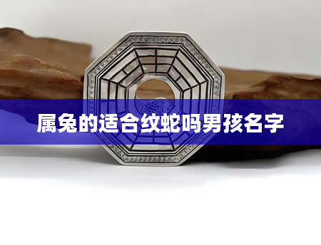 属兔的适合纹蛇吗男孩名字