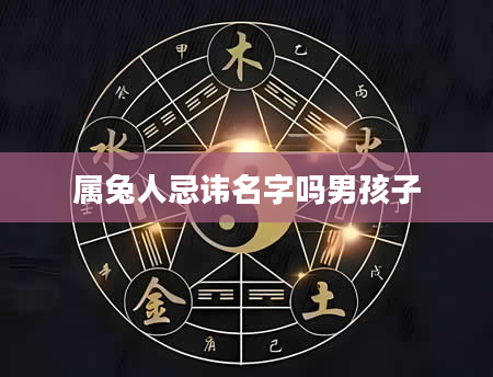 属兔人忌讳名字吗男孩子