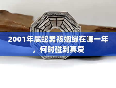 2001年属蛇男孩姻缘在哪一年，何时碰到真爱