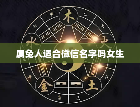 属兔人适合微信名字吗女生