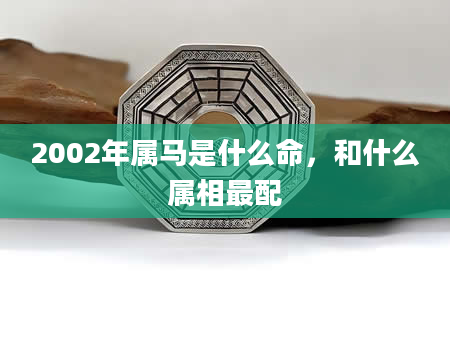 2002年属马是什么命，和什么属相最配