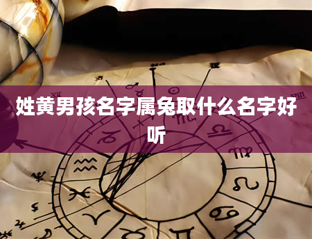 姓黄男孩名字属兔取什么名字好听