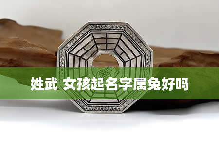 姓武 女孩起名字属兔好吗