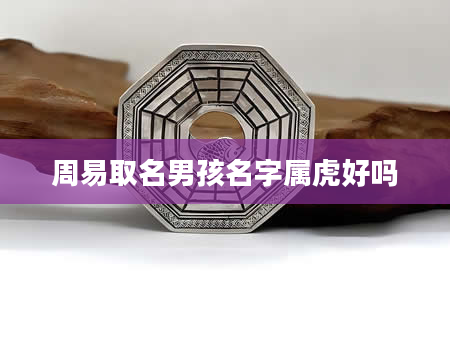 周易取名男孩名字属虎好吗