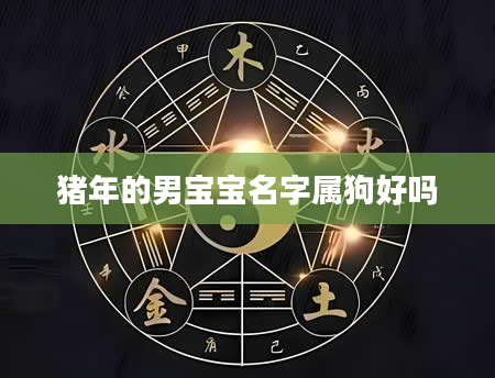 猪年的男宝宝名字属狗好吗