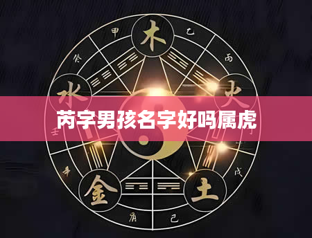 芮字男孩名字好吗属虎