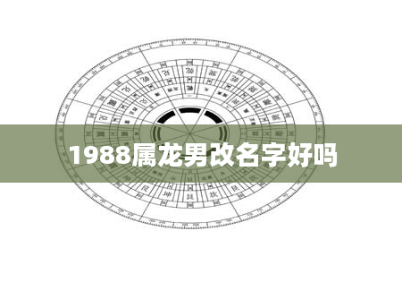 1988属龙男改名字好吗