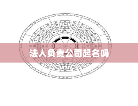 法人负责公司起名吗