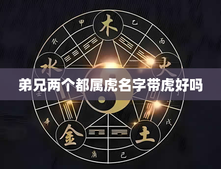 弟兄两个都属虎名字带虎好吗